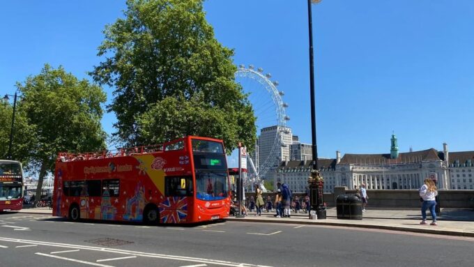 London: Landmarks Walking Tour, Hop-On Hop-Off Bus & Cruise - Customer Reviews