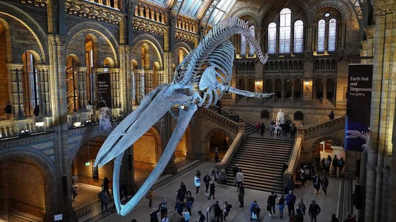 London: Luggage Storage Close to Natural History Museum - Booking Process and Customer Support
