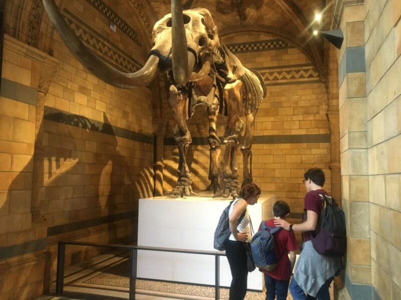 London: Natural History Museum Entry Ticket and Guided Tour - Highlights of the Museum