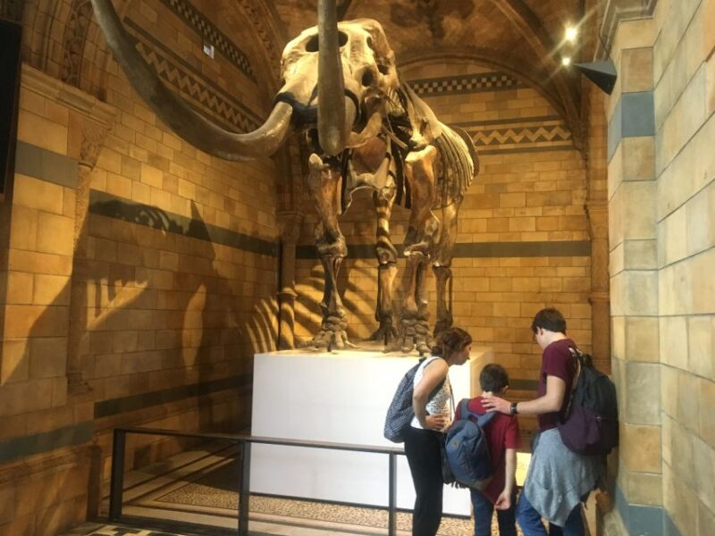 London: Natural History Museum Entry Ticket and Guided Tour - Ticket and Inclusions