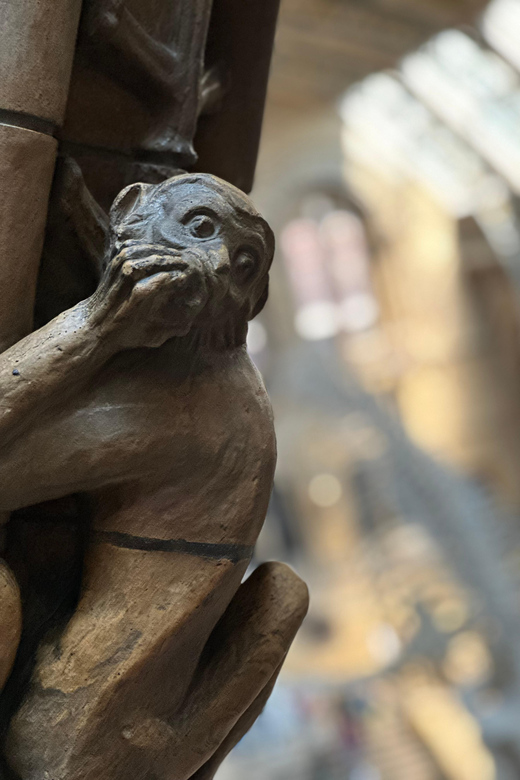 London: Natural History Museum Private Guided Tour - Good To Know