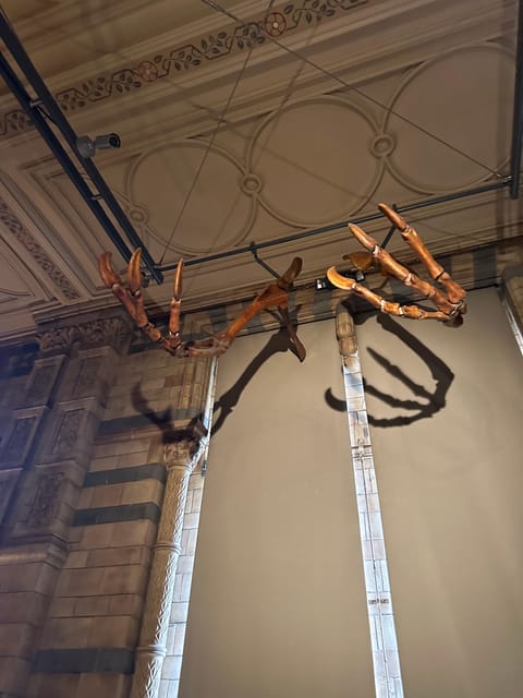 London: Natural History Museum Private Guided Tour - Included in the Tour