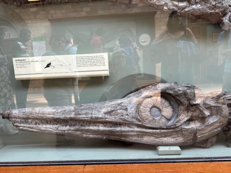 London: Natural History Museum Private Guided Tour - Booking Information