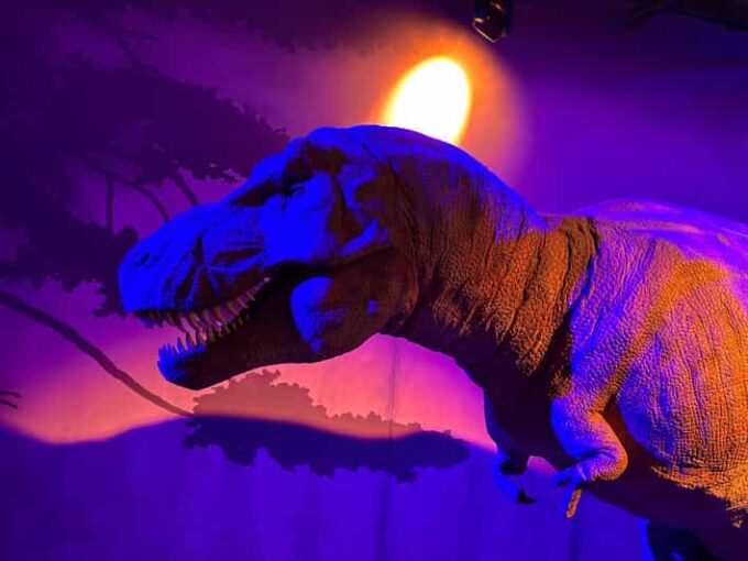 London: Natural History Museum Private Guided Tour - Treasures, Gems, and Fossils