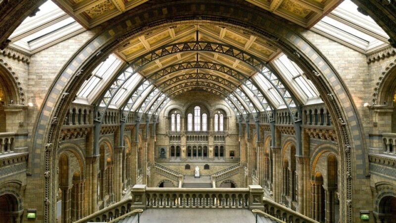 London: Natural History Museum Tour - Discover Fossil Gems