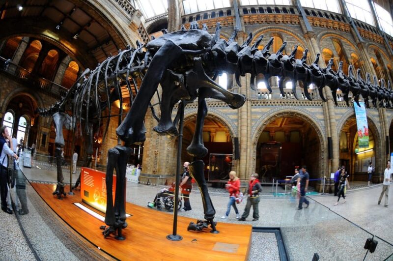London: Natural History Museum Walking Tour - Tour Description