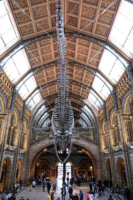 London: Natural History Museum Walking Tour - Accessibility and Requirements