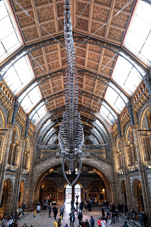 London: Natural History Museum Walking Tour - Customer Feedback