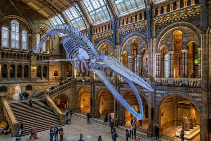 London: Natural History Museum Walking Tour - Exploring Diverse Exhibits