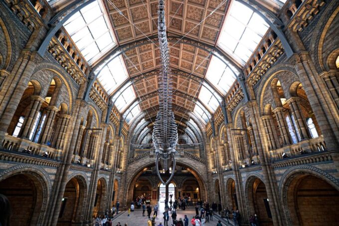 London: Natural History Museum Walking Tour - Planning Your Visit