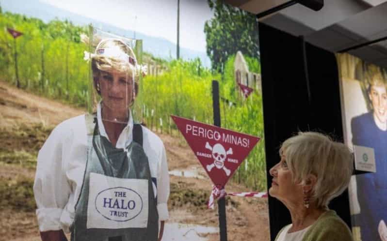 London: Princess Diana Exhibition & Westminster Walking Tour - Princess Diana Exhibition