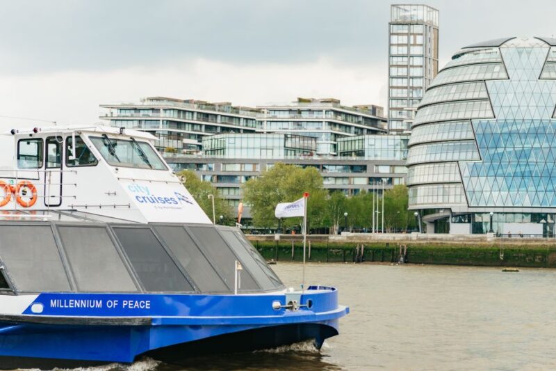 London: River Thames Hop-On Hop-Off Sightseeing Cruise - Boat Amenities and Features