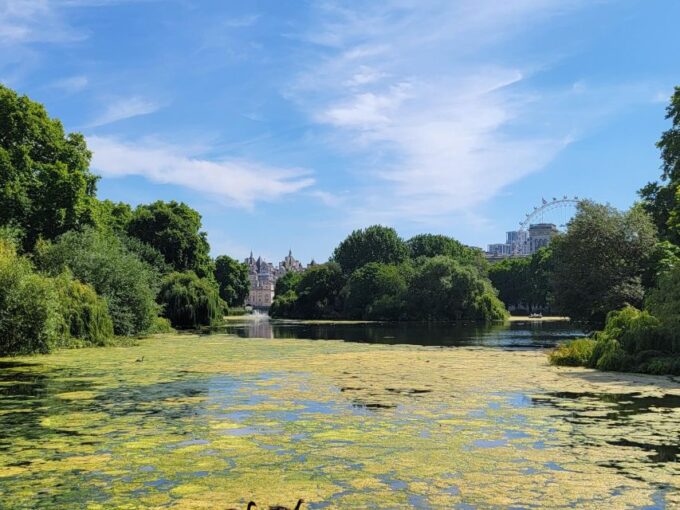 London: Royal Walking Tour and Buckingham Palace Audio Tour - What to Expect