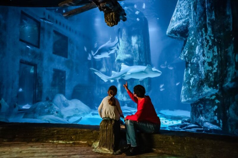 London: SEA LIFE Entry Ticket - New Ice Adventure Attraction