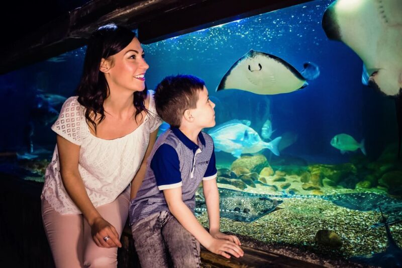 London: SEA LIFE Entry Ticket - Rainforest Adventure Experiences