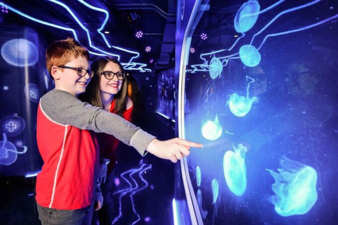 London: SEA LIFE Entry Ticket - Diverse Marine Life on Display