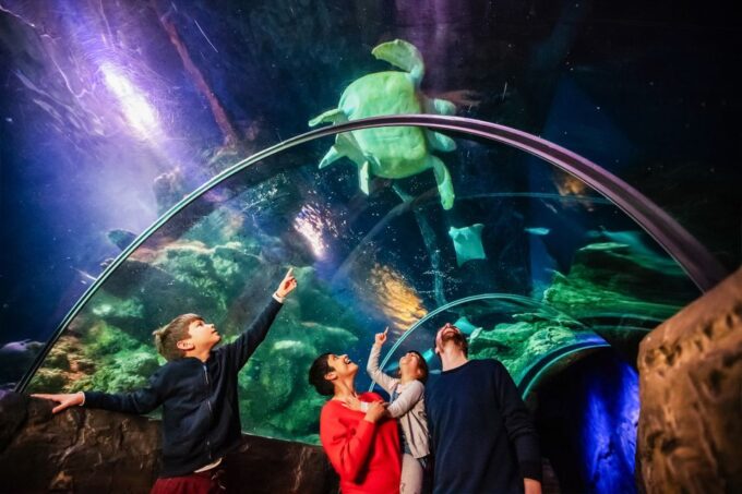 London: SEA LIFE Entry Ticket - Accessibility and Entry Details