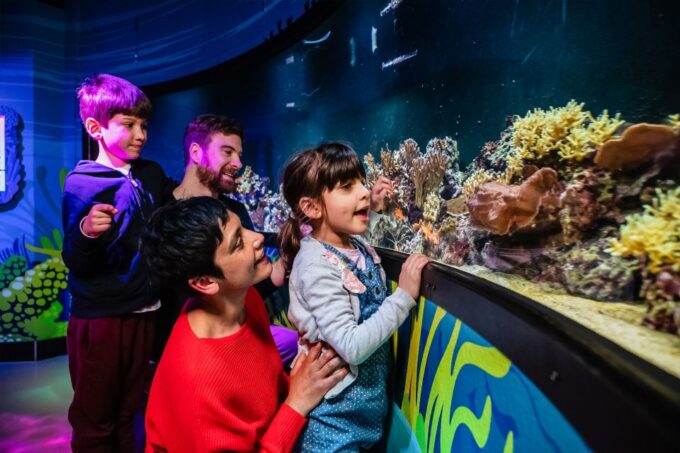 London: SEA LIFE Entry Ticket - Recap