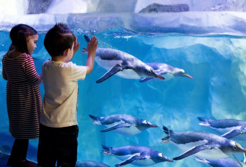 London: SEA LIFE & London Eye Combo Ticket - Visiting SEA LIFE