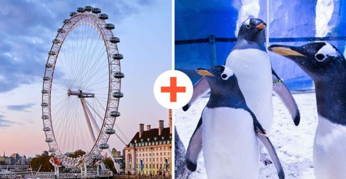 London: SEA LIFE & London Eye Combo Ticket - Attraction Closure