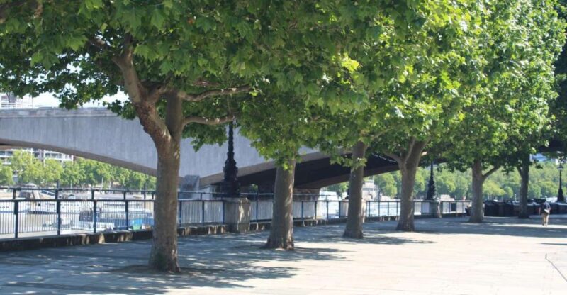 London: Self Guided Tour of Classic Rom Com Locations - Love Actually Sites