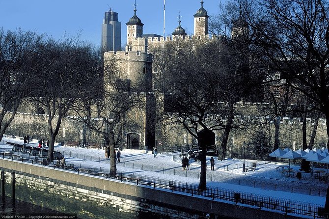 London Sights and Sounds on Christmas Day Afternoon Tour - Mixed Traveler Feedback and Ratings