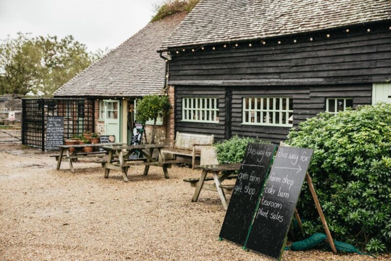 London: South Downs White Cliffs Day Trip With Train Tickets - Inclusions