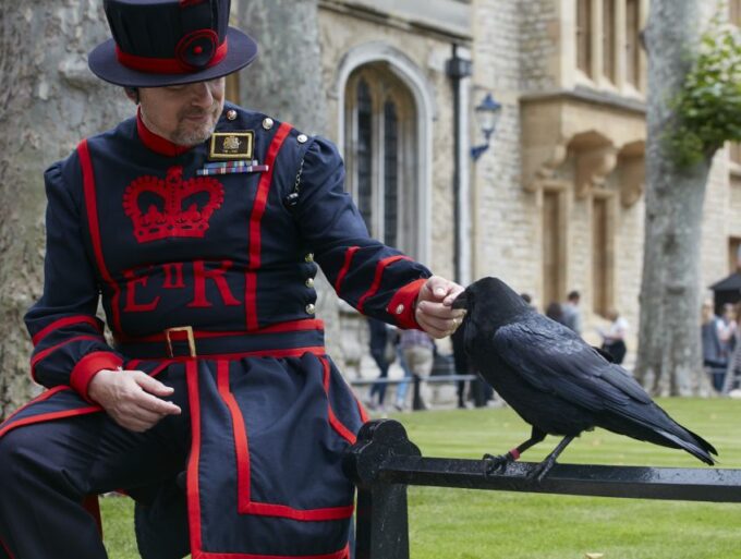 London: Tower of London, Hop-on, Hop-off Bus & River Cruise - Pricing and Booking Details