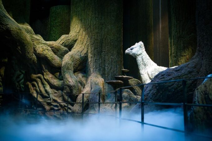 London: Warner Bros. Studio After-Hours Tour With Champagne - Reviewing the Tour Ratings