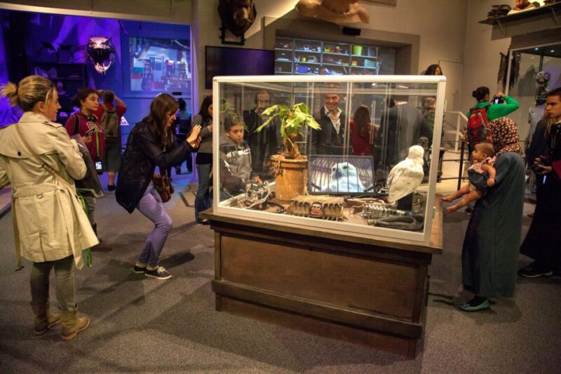 London: Warner Bros. Studio Tour With Transfers - Transportation and Accessibility