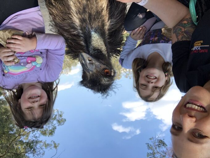 Lone Pine and Brisbane City Highlights - Frequently Asked Questions