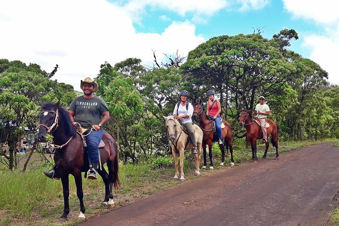 Lonesome George Adventure - Health and Accessibility Restrictions