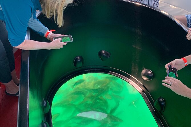 Long Beach Glass Bottom Boat Eco-Tour - Tour Experience Details