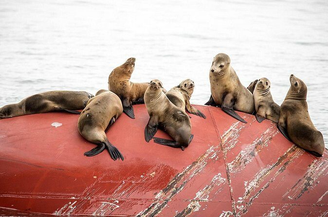 Long Beach Harbor 45-Minute Boat Tour - FAQs