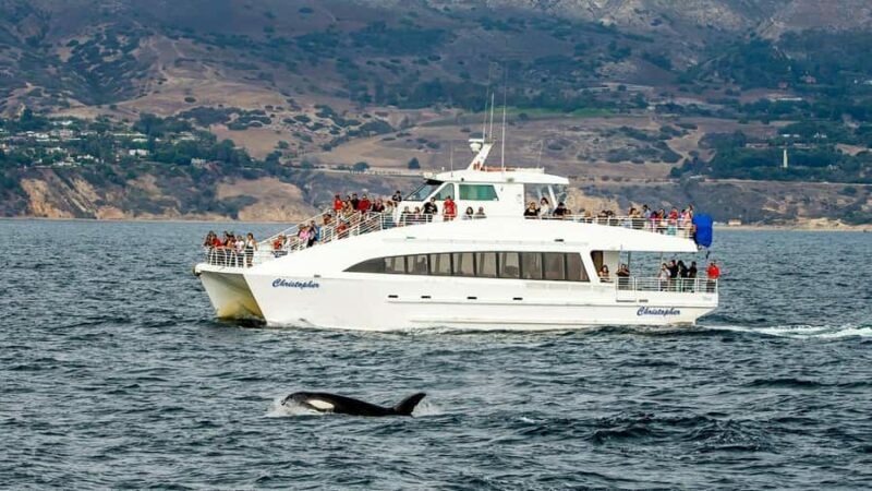 Long Beach: Whale and Dolphin Watching Cruise - The Practicalities