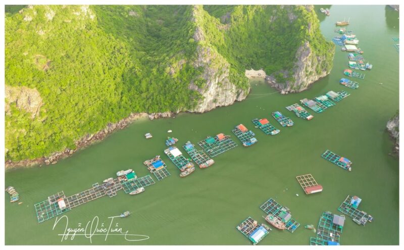 Long Trekking Catba National Park, Lan Ha Bay Full Day Trip - Hiking and Biking Exploration