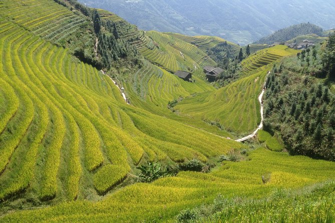 Longji Rice Terrace -- Day Trip - Key Points