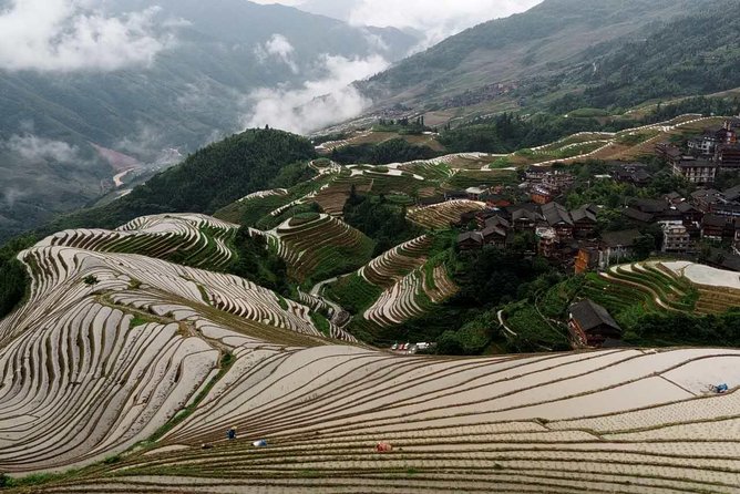 Longji Rice Terraces and Minority Village Day Tour - Tour Highlights and Reviews
