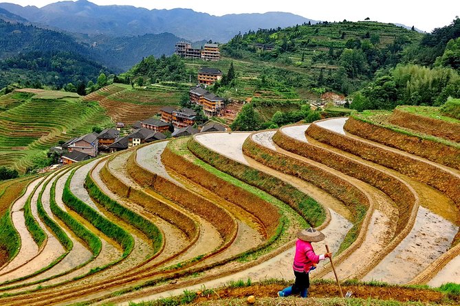Longji Rice Terraces Day Tour From Guilin Hotel - Highlights of the Itinerary