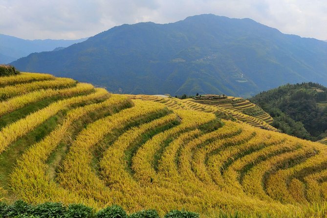 Longji Rice Terraces Day Tour From Guilin Hotel - Transportation and Logistics