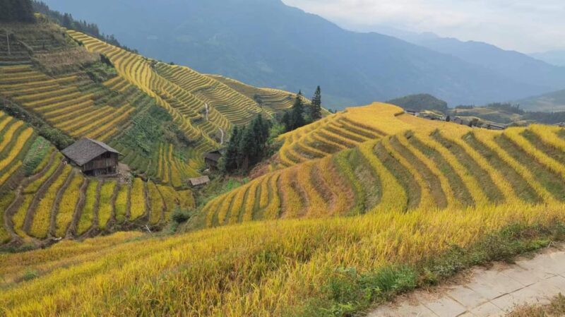 Longji Rice Terraces: Full-Day Private Tour From Guilin - Itinerary Highlights