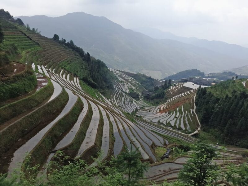 Longji Rice Terraces: Full-Day Private Tour From Guilin - Inclusions and Exclusions