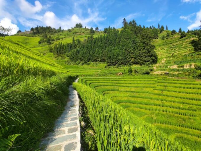 Longji Rice Terraces: Full-Day Private Tour From Guilin - Frequently Asked Questions