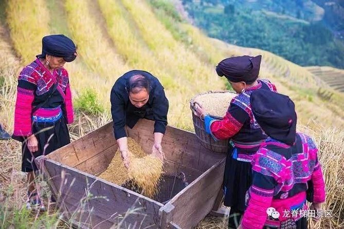 Longji Rice Terraces & Minority Villages Private Day Tour - Inclusions