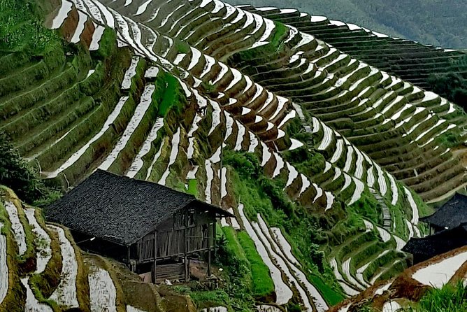 Longji Rice Terraces Tour Review - Participation Guidelines