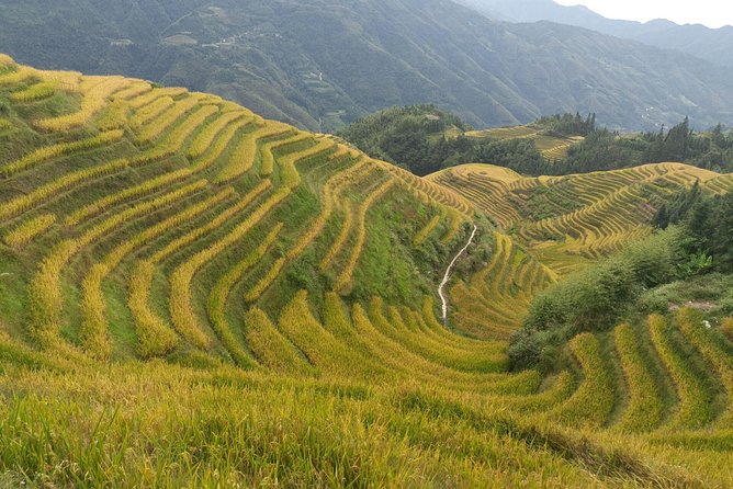 Longji Rice Terraces Tour Review - Recap