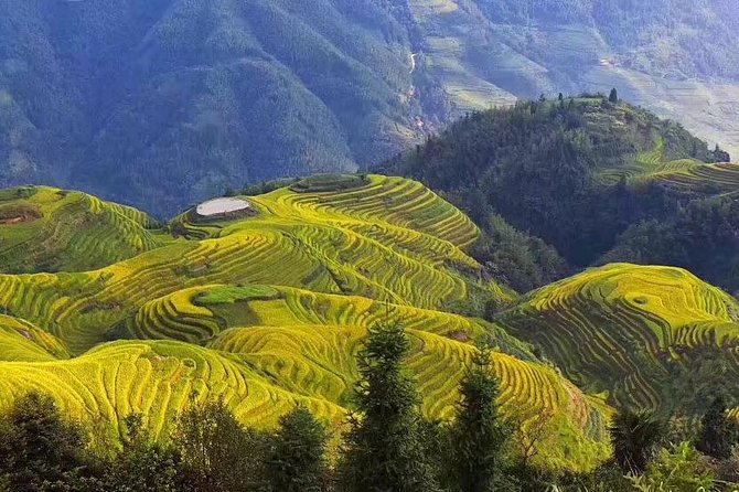 Longji Rice Terraces Tour Review - Key Points