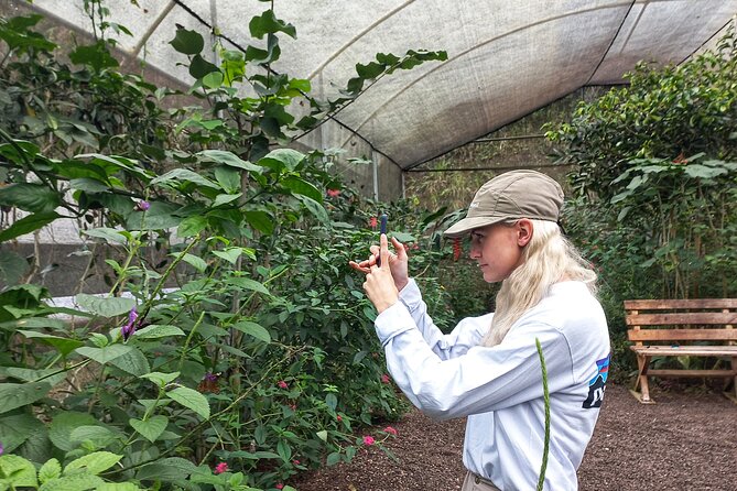 Looking for Nature Around Quito? Mindo Cloudforest Private Tour - Tour Features