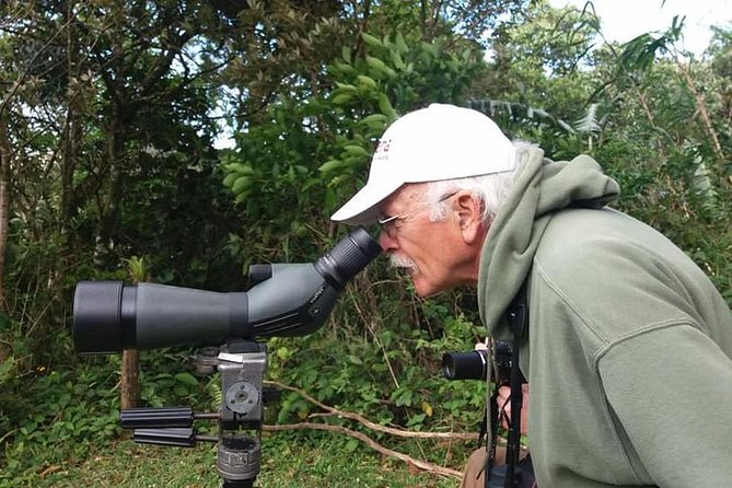Looking for Toucans - Preparing for the Experience