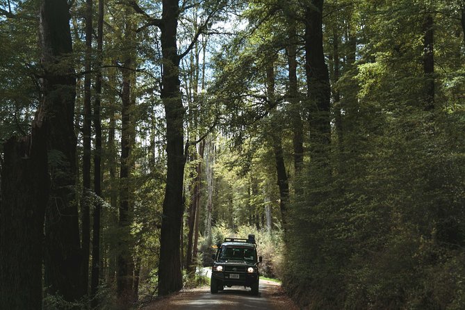 Lord of Rings Full-Day Tour Around Queenstown Lakes by 4WD - Immersive Destinations